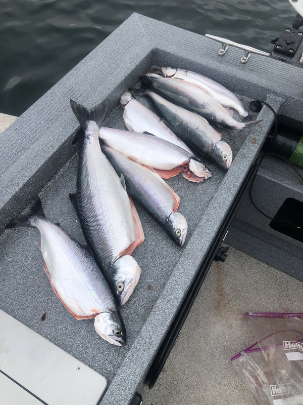 13FDDA60-7418-417F-B91B-7B251A164571