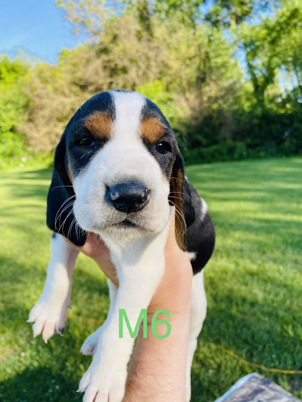 351947A2-1995-4FB5-9727-A93278FB3B54