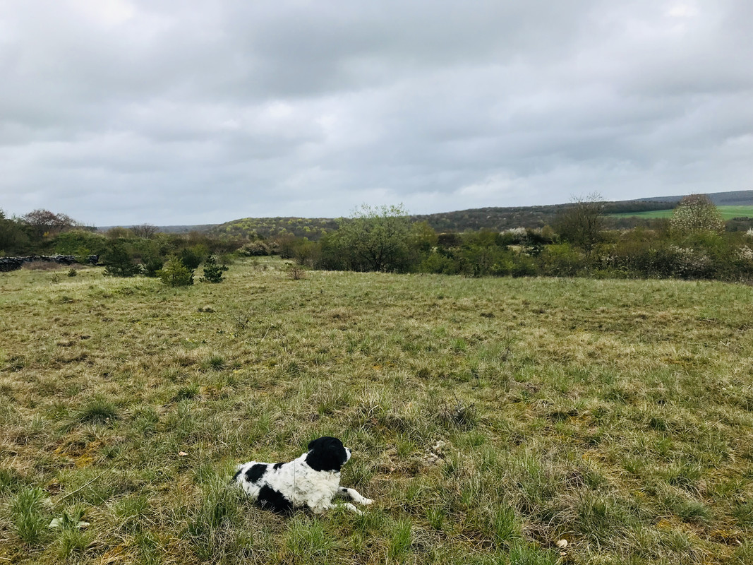 1C109C9E-4C20-47D5-8AD0-A393120B77FA