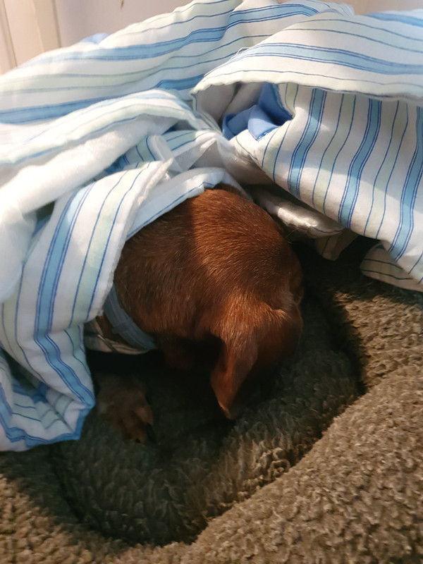 [Image: 20220317-120945.jpg]