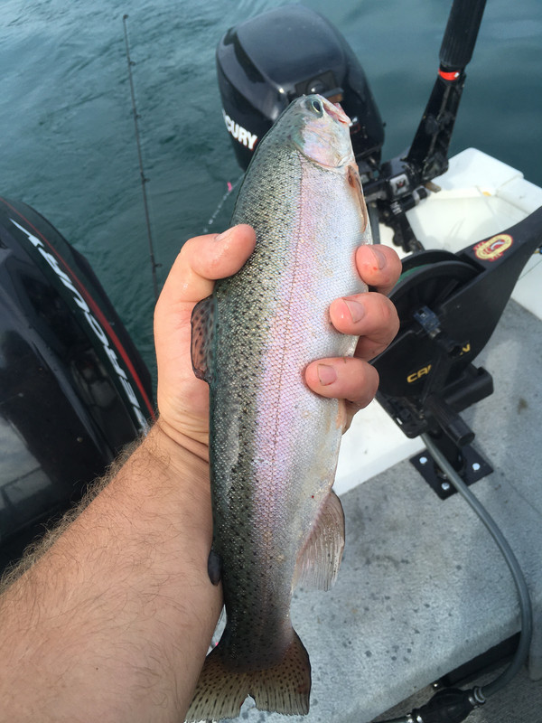 4C3BB648-ADB3-48FD-9065-ED0745B422A6