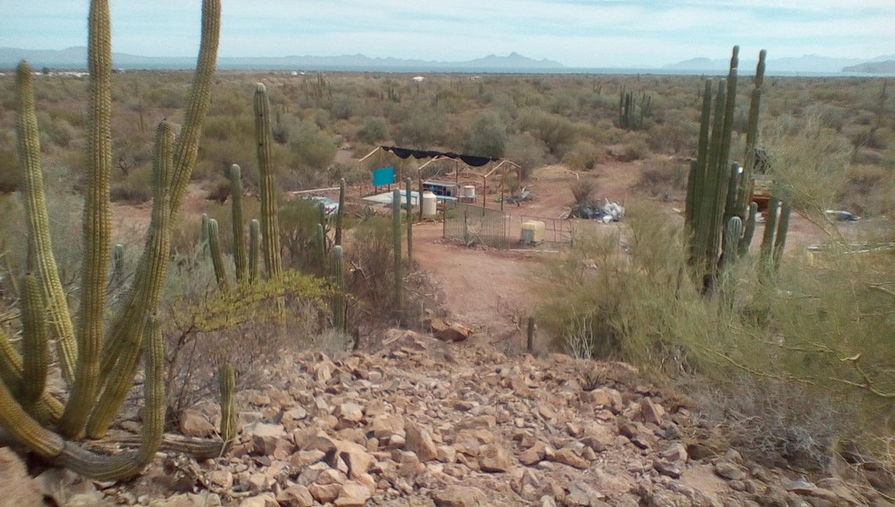 Desert garden