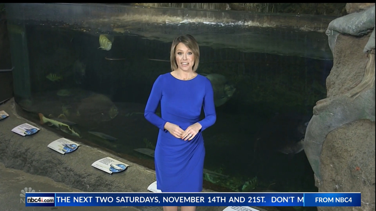 11.07 - 15.00.00 - Earth Odyssey With Dylan Dreyer. The world's smart....ts_snapshot_00.25.09.851