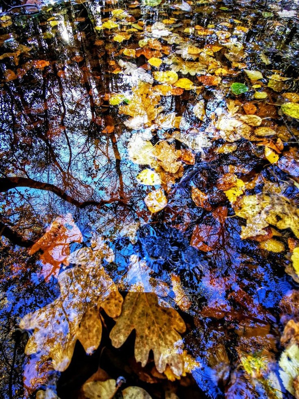 6297fde930616414ab32073a75f2d29f.jpg