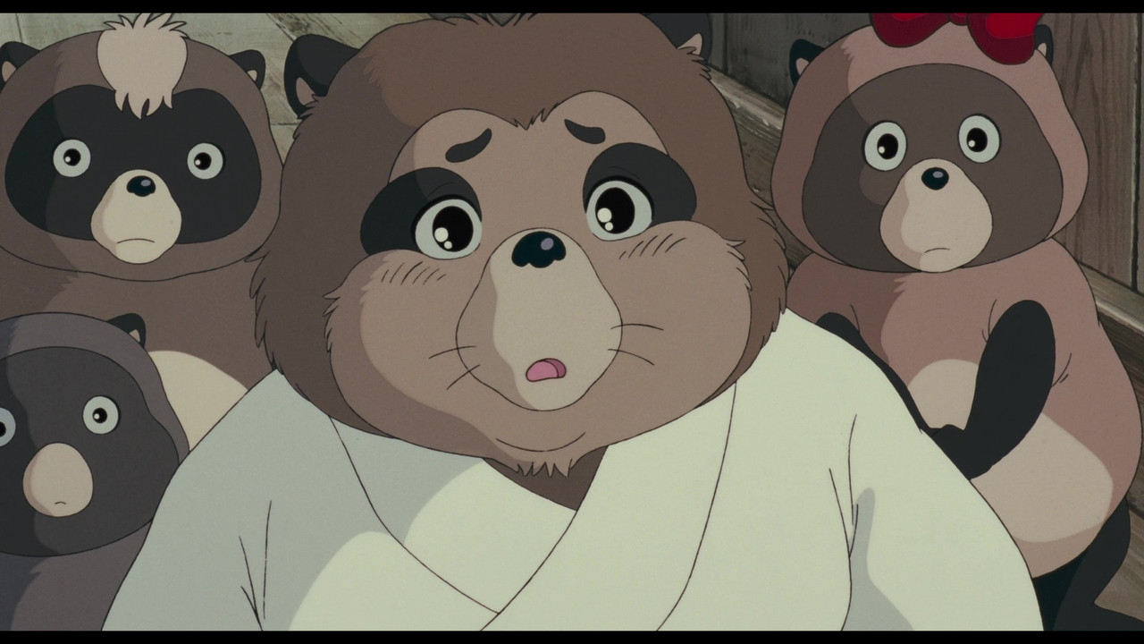 vlcsnap-2025-01-20-15h58m16s951