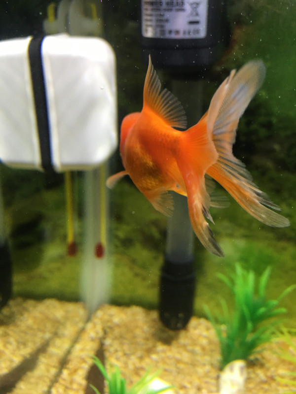 7EFE3184-CFC1-440A-951E-4587F0154934