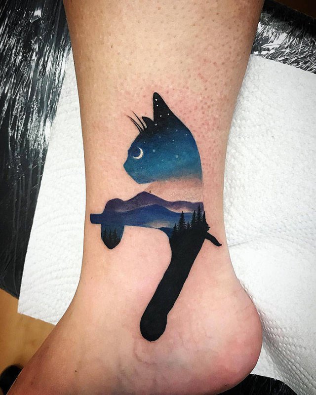 Cats-1