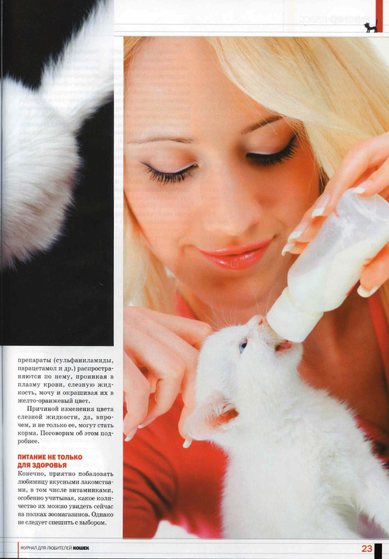 Друг кошек № 7 2010-24