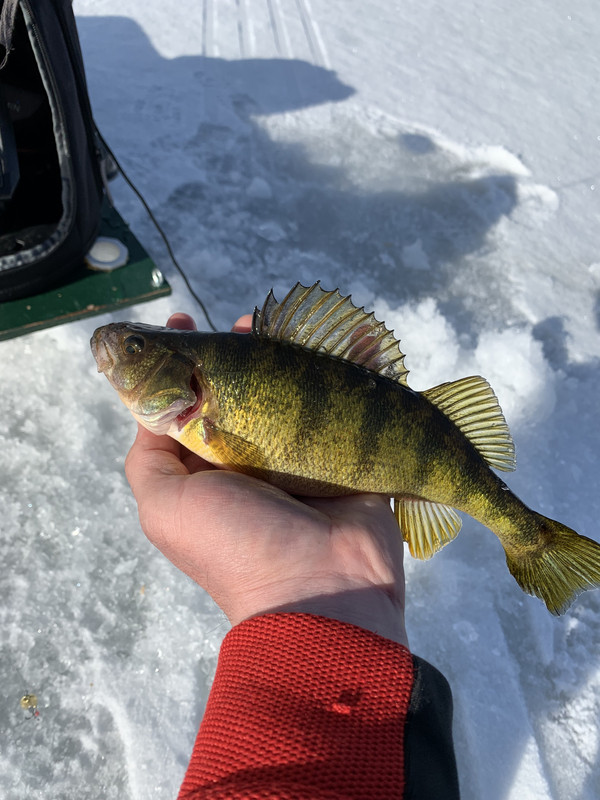 AD8FD58B-8758-43A6-AE39-65D5DDC3110A