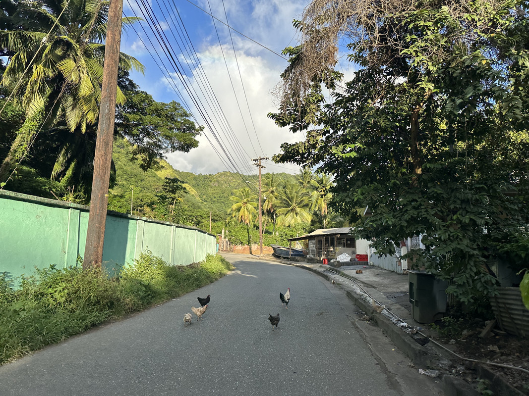 66F0E3A1-88A4-40F2-8EED-B6DF47313756