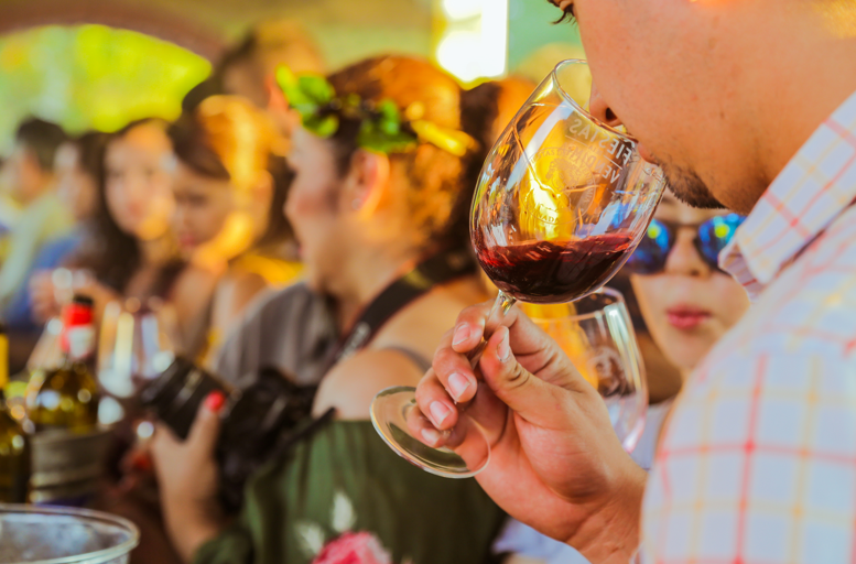 Fiesta de los Viñedos en Flor 2022