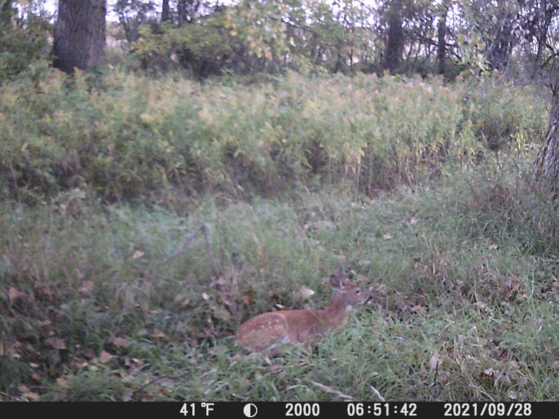 5A6EF7A8-3589-4D02-A525-A00B07E78CDC