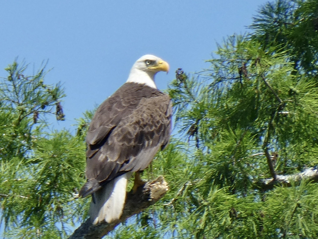 A14260A7-6F3D-4FBF-96FF-9A8E1C42ABB9