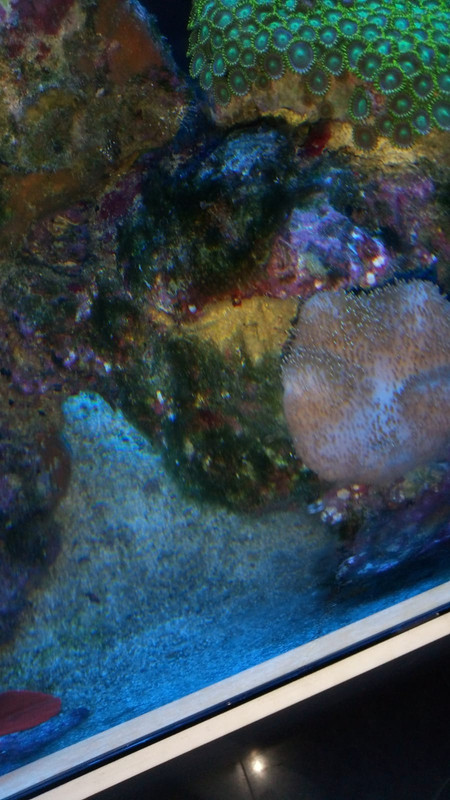 63207D1E-7136-47C5-9E27-BB4425716909