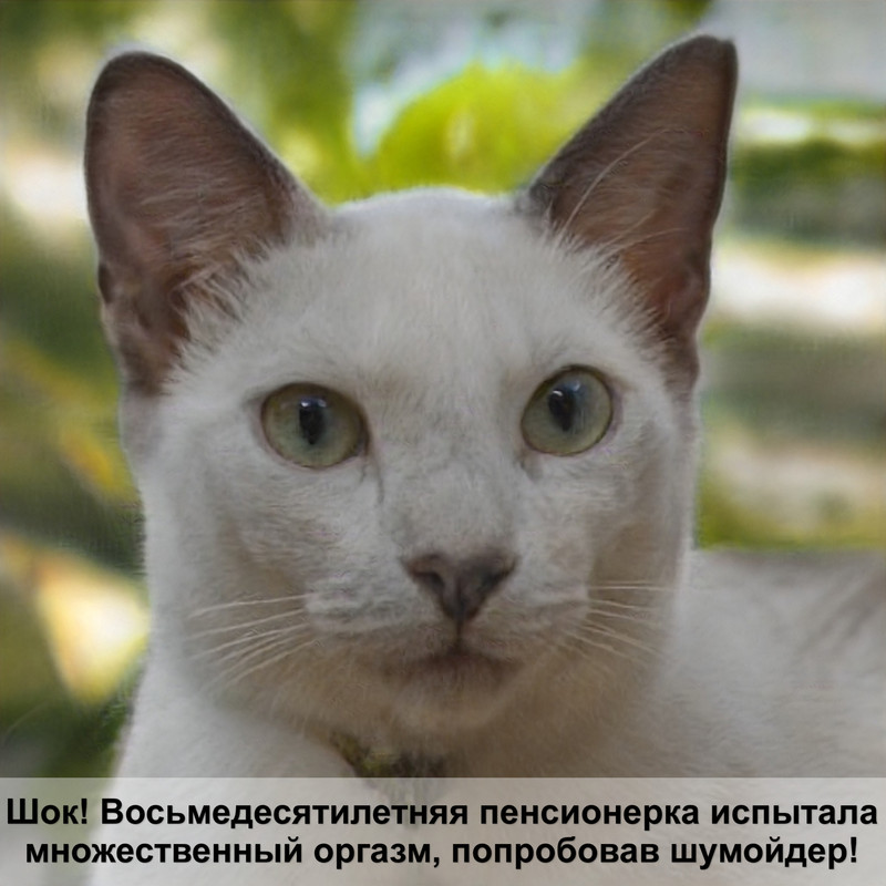 как сделать домик для кошки своими руками в домашних условиях