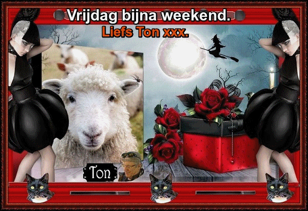 www.krabbelplaatjes.com
