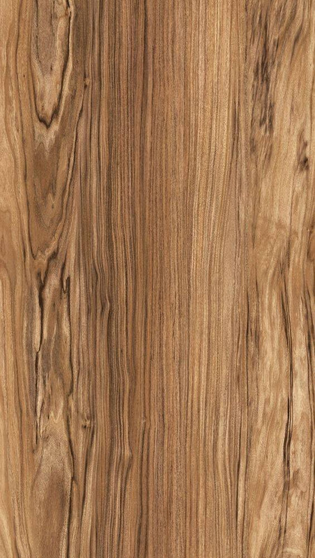 wood-texture-3dsmax (318)