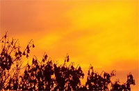 [Image: y20181122-172148.jpg]