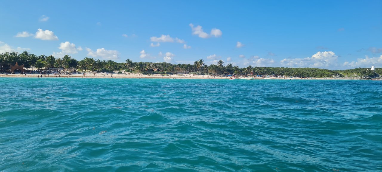 Riviera Maya en Navidad - Blogs de Mexico - Ruinas de Tulum, Cobá, el Gran Cenote y snorkel con tortugas en playa Paraíso (22)
