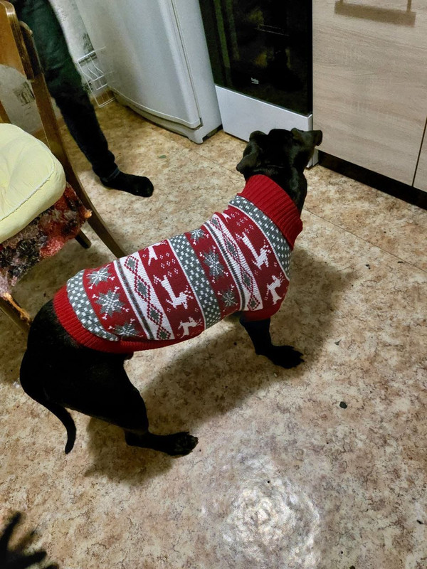 9C3A280C-0F44-4FC2-9329-6CEB7C2281E6