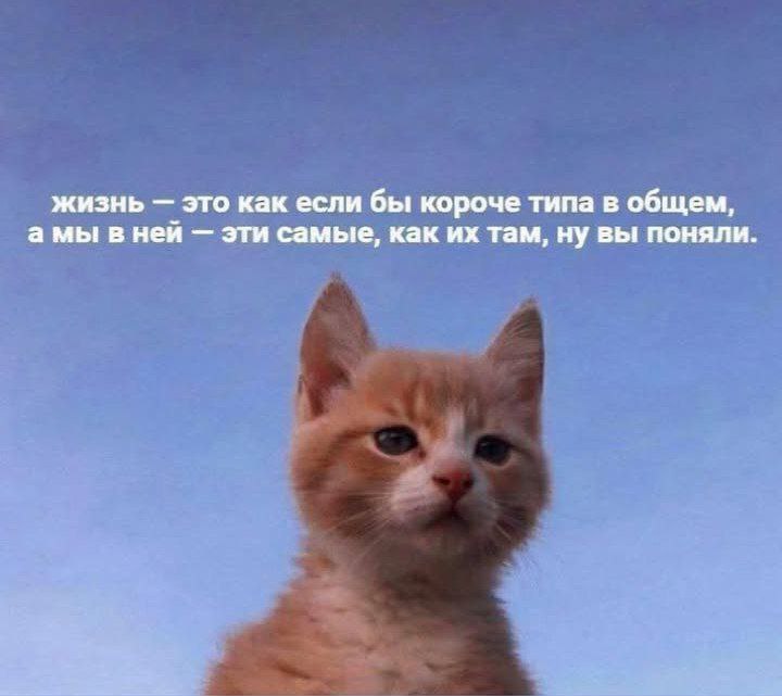 IMG-20250725-133358-920.jpg