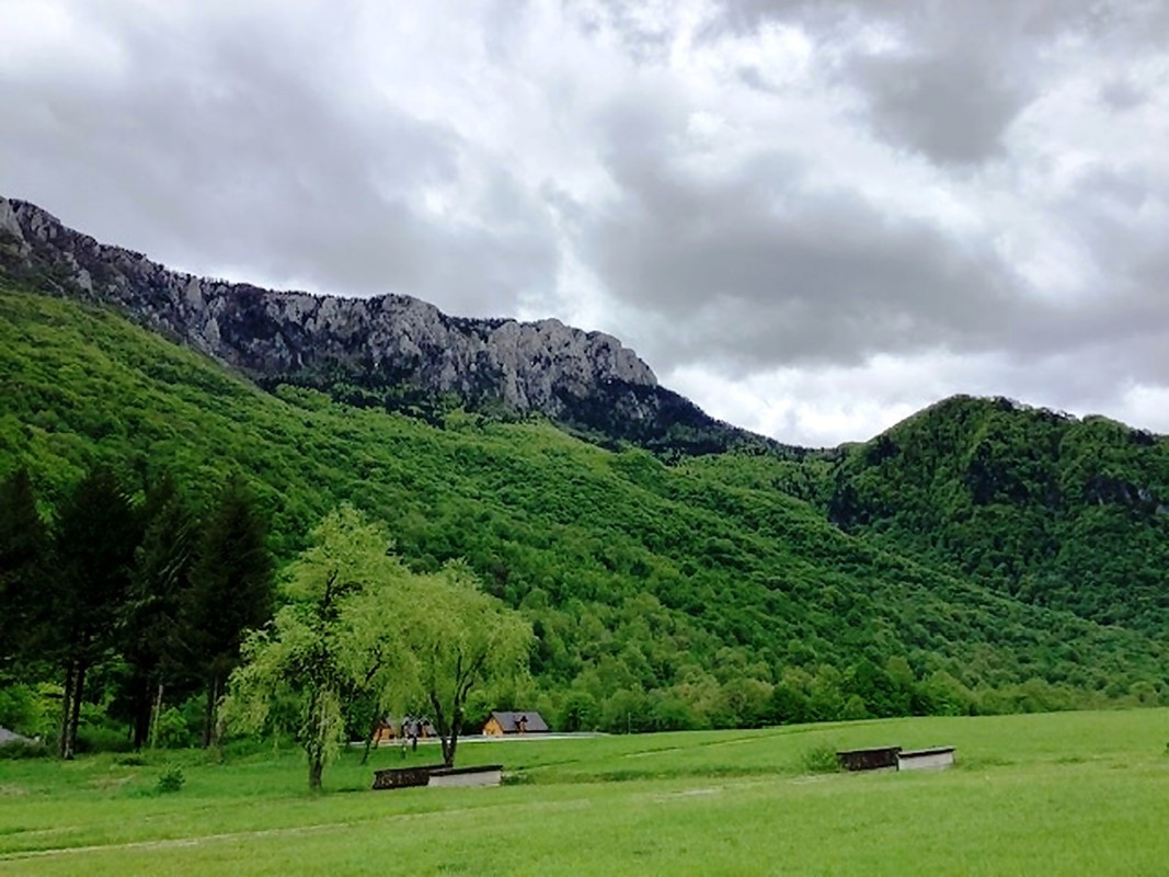 IMG_1808(8jlSUDTDALi)