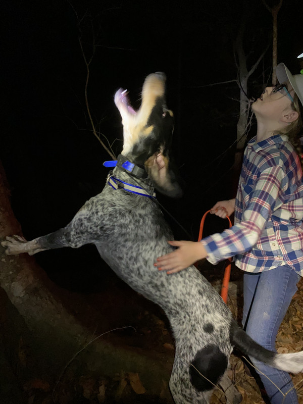 7B1A5173-CD2F-4A1A-83CD-D5DB7D0B9CDD