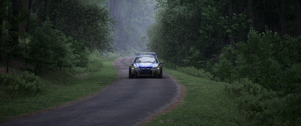 Assetto-Corsa-Rally-Screenshot-2026-05-0