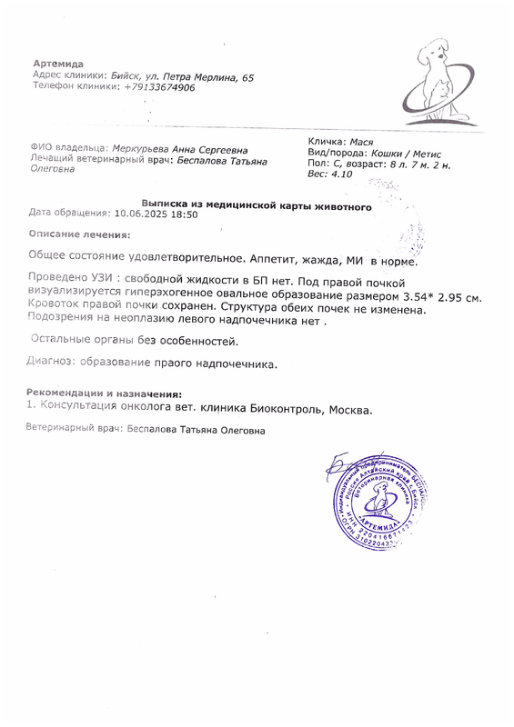 DOC006
