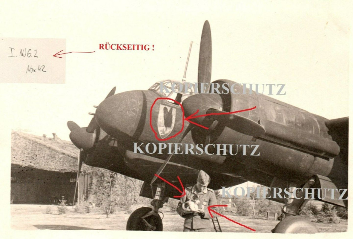 (g12) Holland