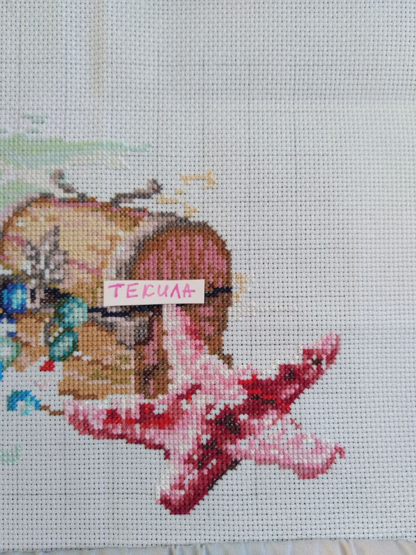 IMG 20260223 131201 388