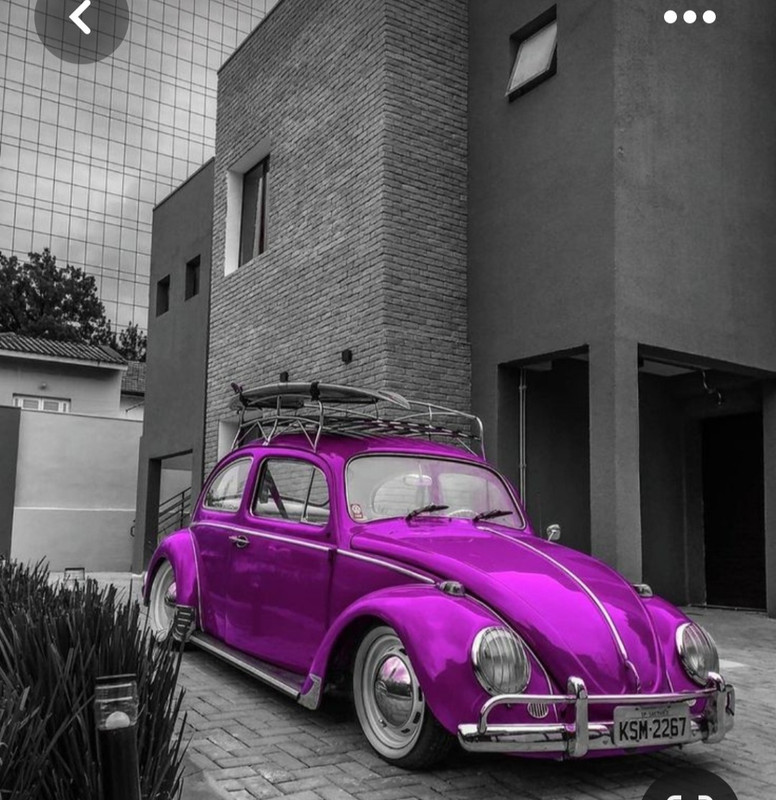 Screenshot_20230418_212052_Pinterest