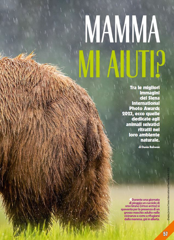 Foc Wil - Feb 2024 (12)