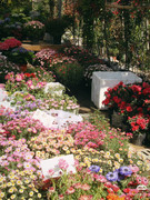 photo 19 2025 12 14 22 34 27