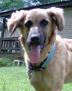 [Image: Dolly-1.jpg]