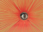 [Image: Le-regard.jpg]