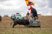 IMG-0081