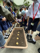 photo-littlefarmer2223-1B-011