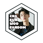 badge10chaeunwoofandom