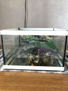 97AD4D52-740E-411B-9F8C-CE50A09A3855