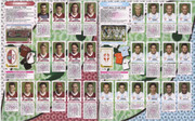 Album-Calciatori-2003-04-Panini-55