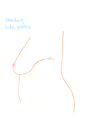 Untitled-design-3