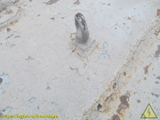 IMG-9767