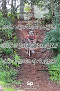 IMG-0488