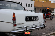 IMG-0496