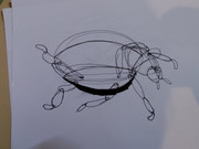 IMG-20240228-132309591