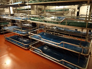 IMG_20191015_115420-2000x1500