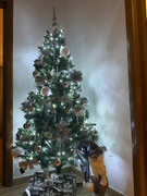 photo 2025 12 29 23 43 18