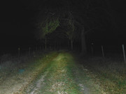 Gate-75yd-High
