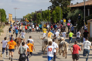 IMG-0505